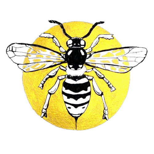 Inktober 18 - Insect - Stolen Honey - Black ink, finetec gold, paintshop