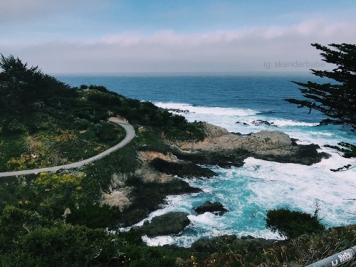 mjalti: [various locations, California, May 2018] [ig: anamjalti ]