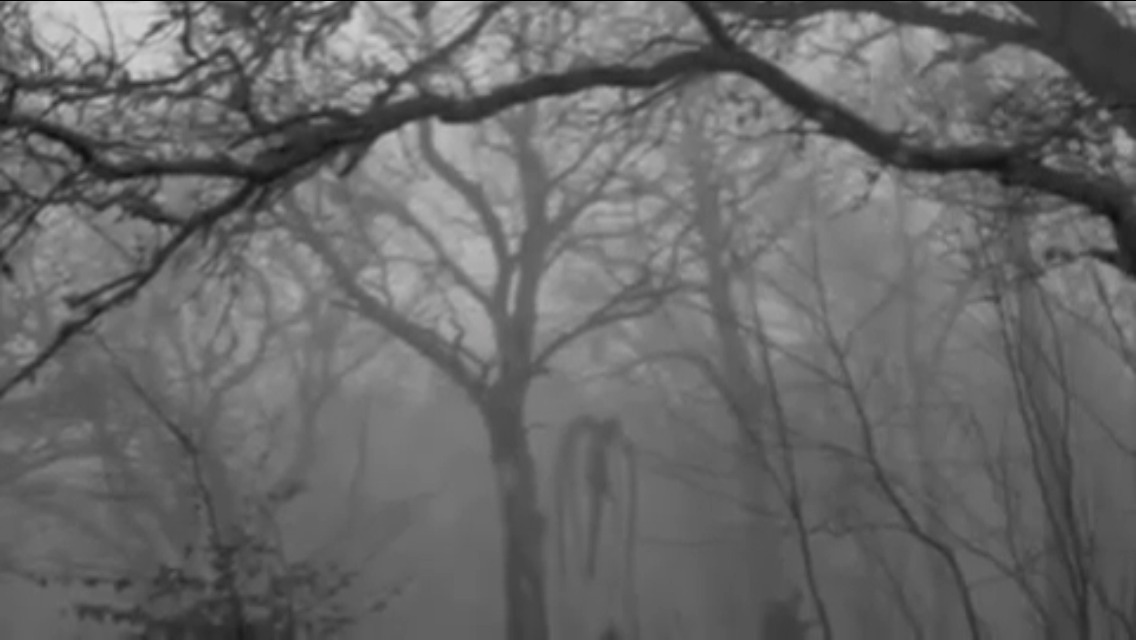 cosmiksol:  Slenderman sightings 