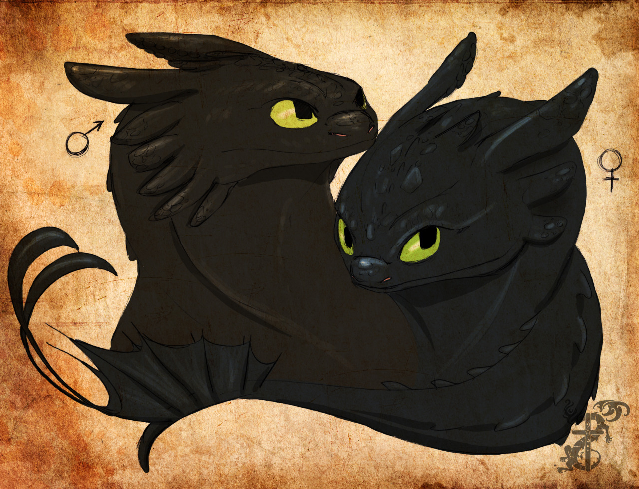 Toothless and female night fury