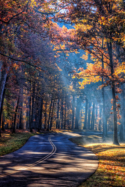 plasmatics:  Filtered by Bryan Quigley 