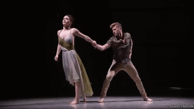The Dance Book