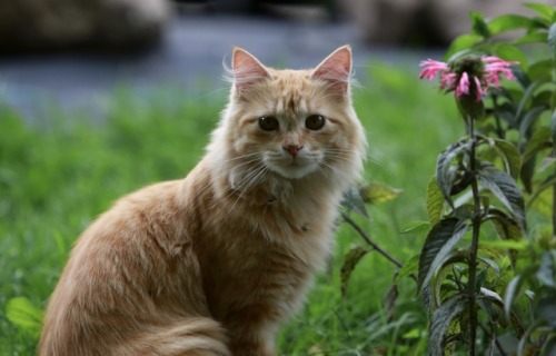 picturetakingguy:Butter likes fall weekends