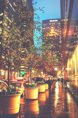 cityneonlights:  photographer | cityneonlights