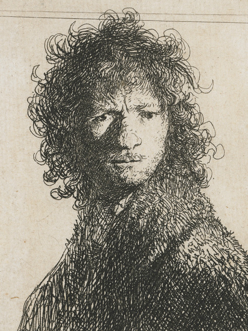 v-ersacrum:Prints of self-portraits by Rembrandt   self-portraits by Rembrandt  