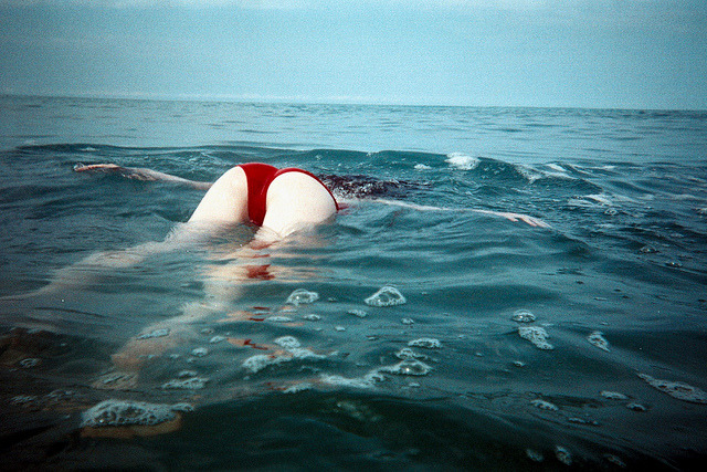 felibre:  Untitled Devine Carter 
