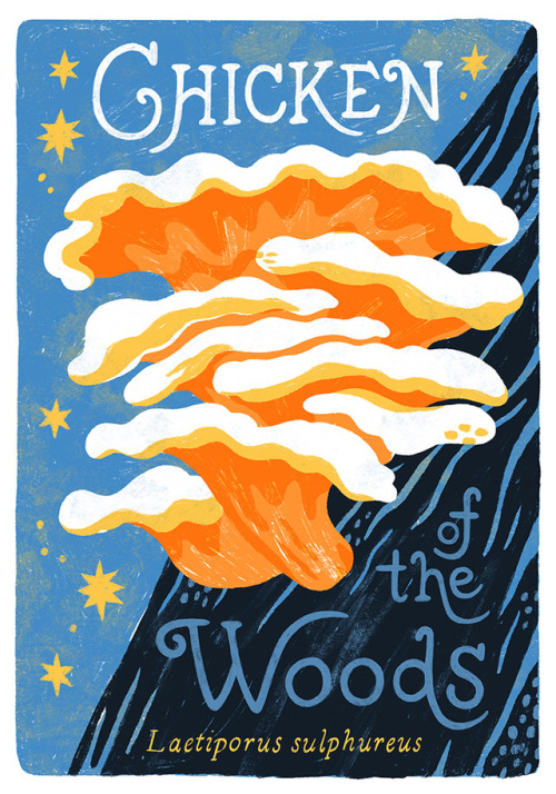 kaleymckean:And another edible fungi illo, this time featuring one of my favs, Chicken of the Woods!