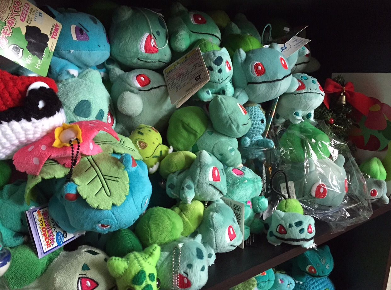 venusaurvalley:The title of my blog is Venusaur Valley because my main Pokemon collection