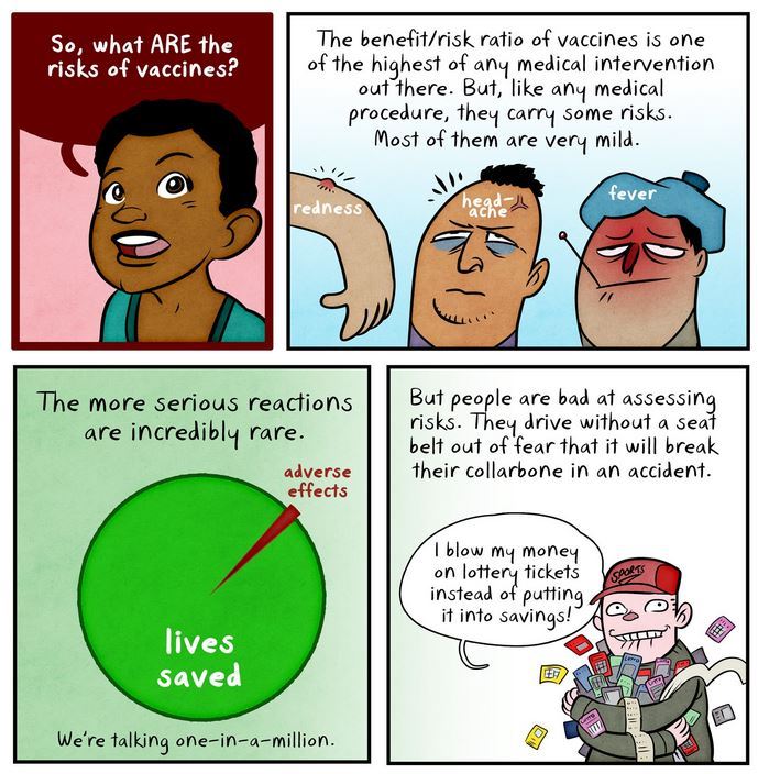 hoovesandheartbeats:  &ldquo;How Vaccines Work&quot; Source Credit: Maki