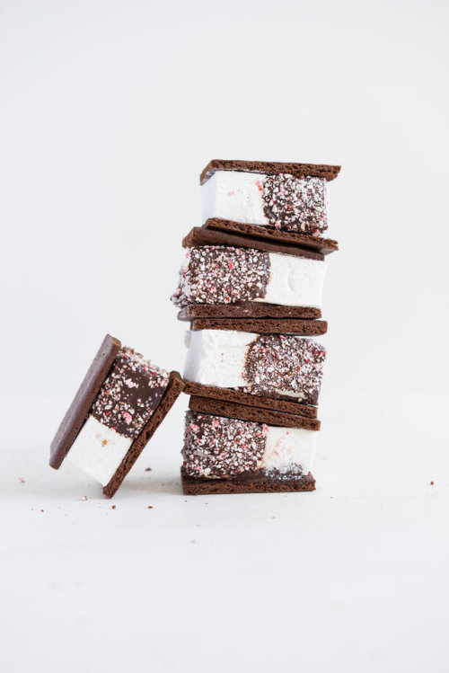sweetoothgirl: peppermint s'mores with chocolate graham crackers