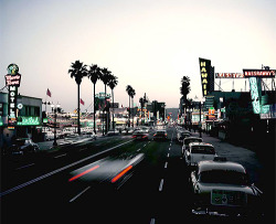 : Hollywood. Photographed by Willy Rizzo.