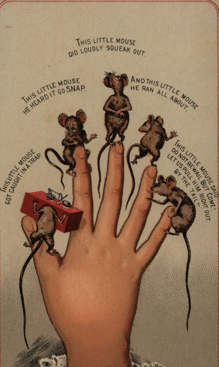 usfspecialcollections:Late 19th century, advertising cards, found while searching for late 19th cent