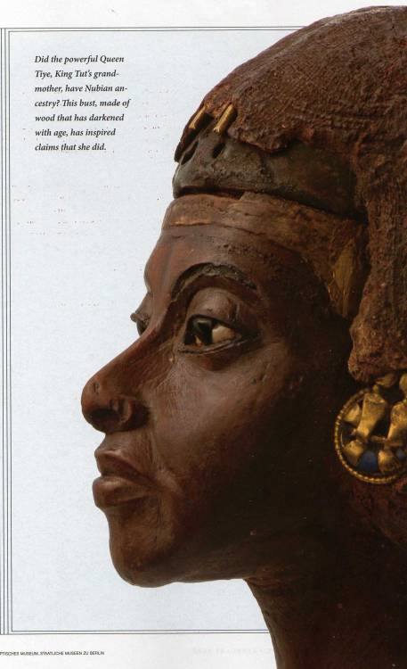 sarena-babaroga:
“ Queen Tiye
”