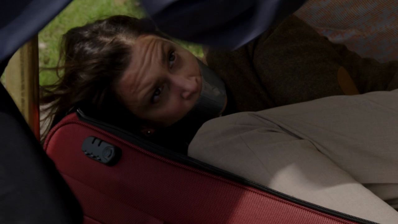 demoisellesendetresse: Nurit Monacelli in The Blacklist