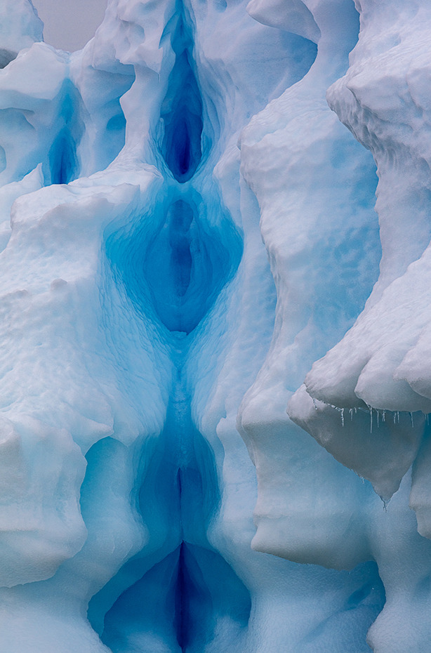 zferolie: dick–wagon:  irakalan:  BLUE ICEPrincipal Evangelist, Photoshop &amp;
