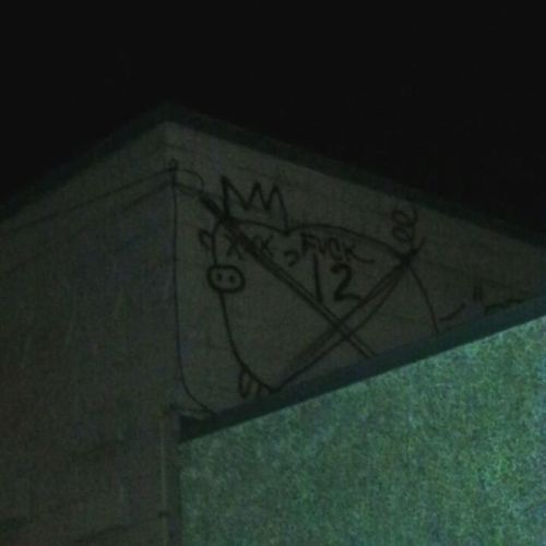 ‘Fuck 12′Anti-Cop graffiti in Minneapolis