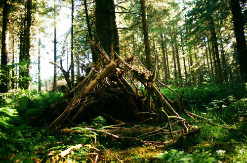 graymanphotography: tiny little shelter made for the forest elves perhaps?