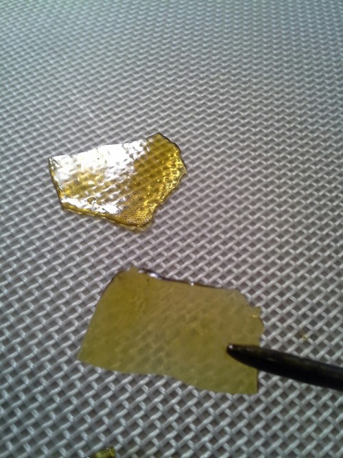 concentrate-cunt:  justfriggineric: Purple kush
