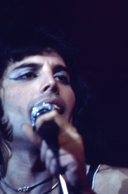 modernrocknrollworld:    #queen #freddie