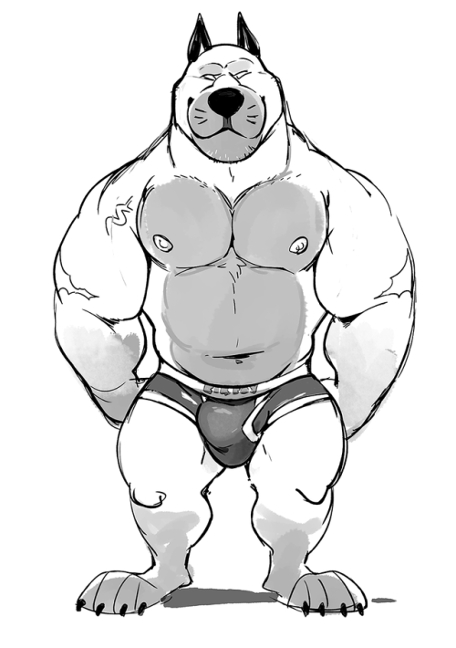tulerarts:  A turnaround of my pitbull, Chuck!★彡 Patreon! // Follow me on Twitter or Instagram!