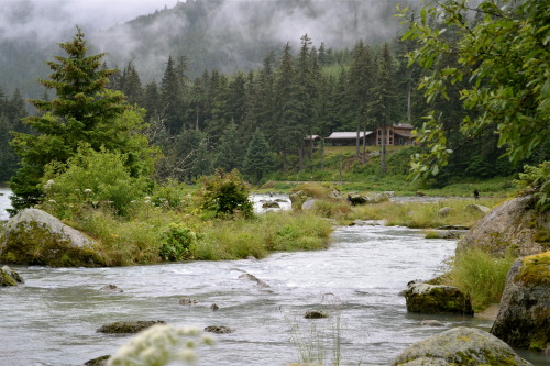 Haines - Alaska