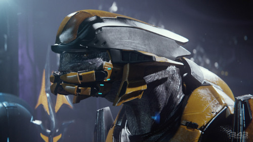 “ Video: Watch this impressive cinematic launch trailer for ‘Halo 2 Anniversary’
This brand-new trailer showcases some scenes from the coolest cinematics in Halo 2: Anniversary.
View the trailer here.
”