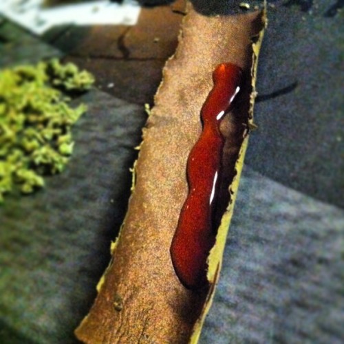 cocainacowboy:  syrup in the blunt