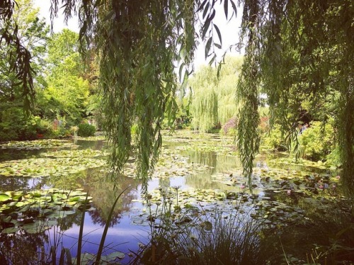 Water lilies at Giverny #giverny #monet #nymphéas #daytripper (at Monet&rsquo;s Garden, G