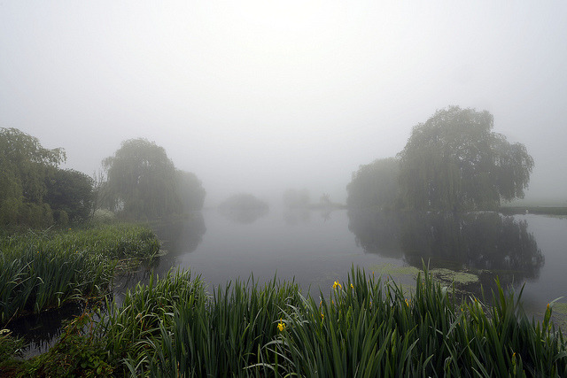 hvllucinvtion:  mother natures blog
