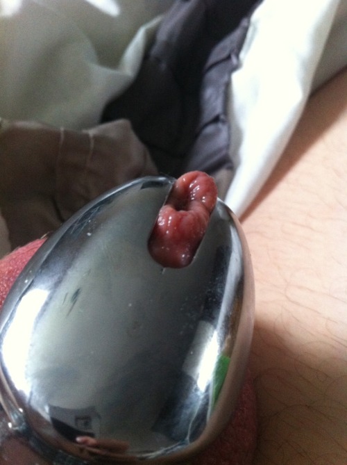 lockedkinkpup87:  chastitylad:  Unlocked for a bit of morning teasing then sent to work with my cock locked back up, butt plugged, and horny as hell because I wasn’t allowed to cum!  A fucking dream