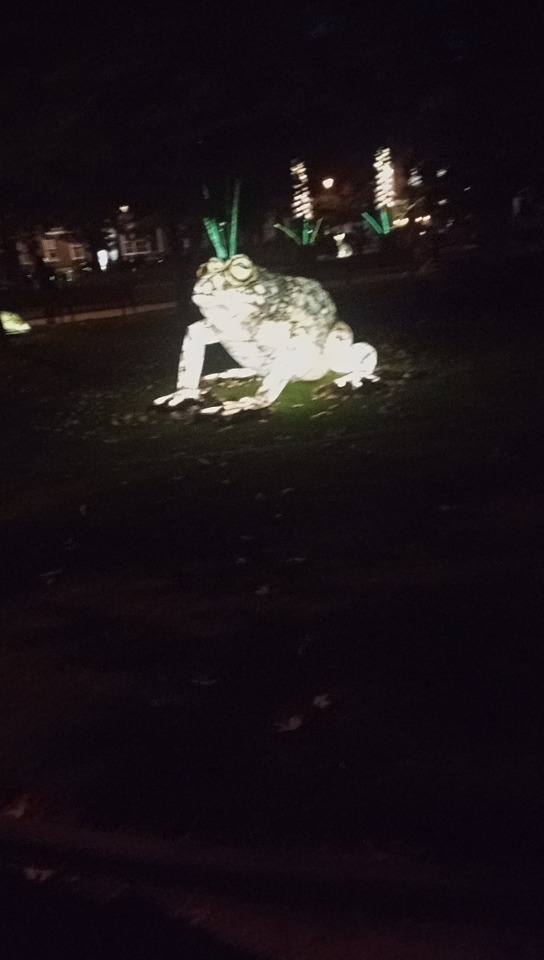 #LeedsLightNight2021