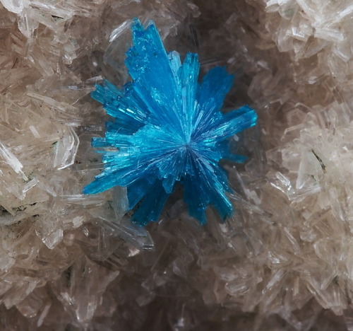 Cavansite on Heulandite - Wagholi Quarry, Maharashtra, India