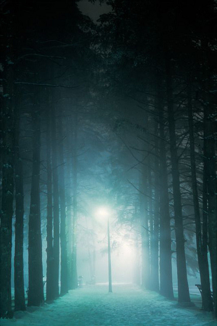 brutalgeneration:  Zlatibor by Djordje Petrovic on Flickr. 