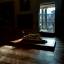 rosesallow05