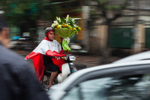 southeastasianists: Vietnam : From North to South Alexis petitprez