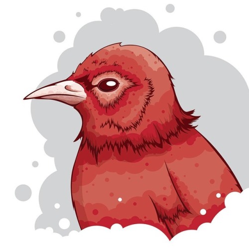Old bird illustration