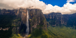 friedmercury:  The last vision by David Ruiz Luna on Flickr.  Angel Falls - Venezuela