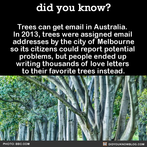 celticpyro: did-you-kno:  Trees can get email in Australia. In 2013, trees were assigned email 