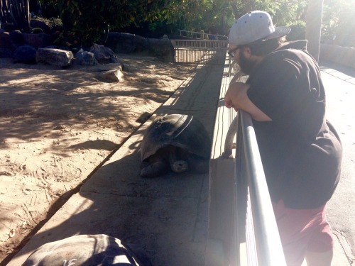ppetalss: pictured: a true marvel of nature, breathtaking yet adorable - seen here with a galapagos 