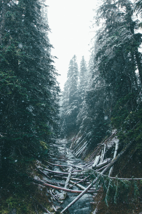 banshy: First Snowfall by Dylan Furst