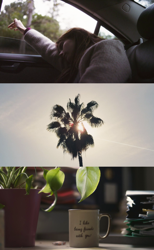 Films Seen In 2015 // Cinematography