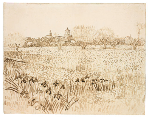 39adamstrand:dappledwithshadow:  Vincent van GoghView of Arles with Irises in the Foreground1888  fr