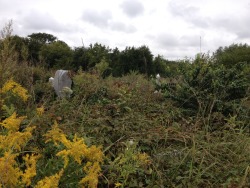 prairie cemetery