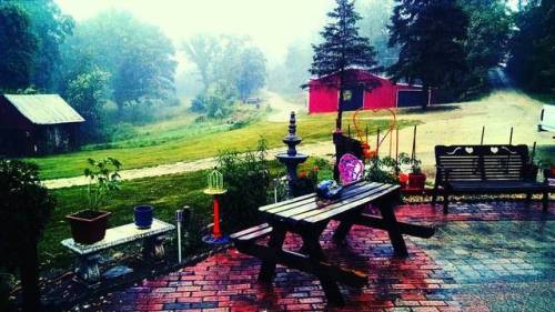 Rain on the tin roof(at Senecaville Lake)