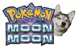 thsimoon:  The (probably) new pokémon game