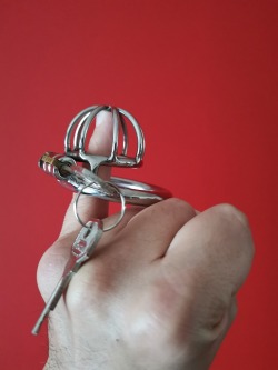 Chastity Device for real small cocks and