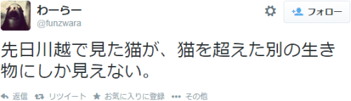 7at1stroke:  わーらー ‏@funzwara   先日川越で見た猫が、猫を超えた別の生き物にしか見えない。 http://t.co/5nkPnmlbiq” 