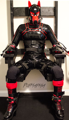 pupmaphia:  Pup has spoken. 