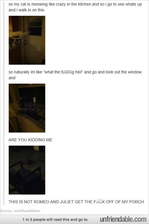 imogenjayy: xxsilvertonguespiritxx: itsstuckyinmyhead: Odd Romeo and Juliet Tumblr Posts Why hasn&rs