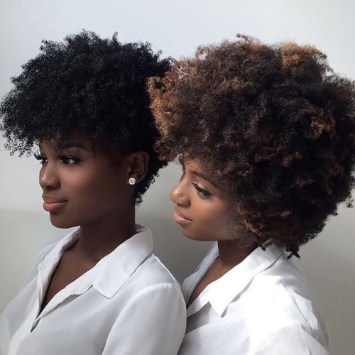 Perfection @dennydaily @eileencarmel | ...#2frochicks #afrohair #melanin #naturalhair #afrocaribbean